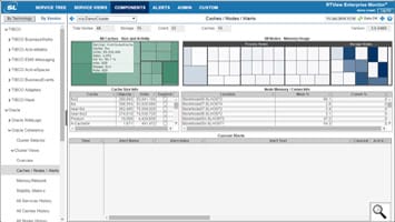 rtview for oracle coherence rtview for oracle coherence